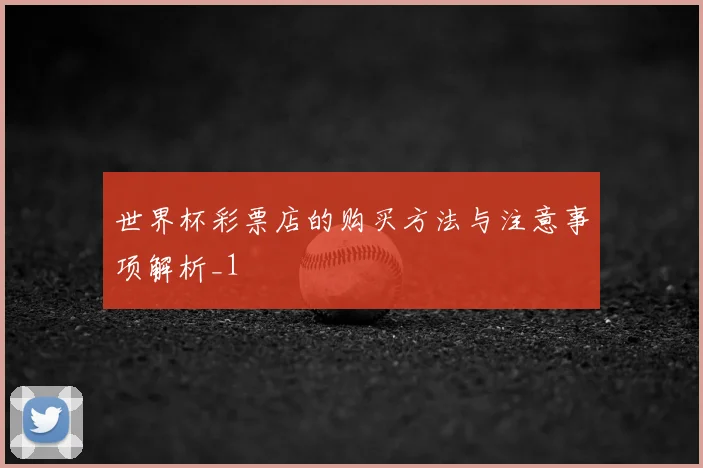 世界杯彩票店的购买方法与注意事项解析_1